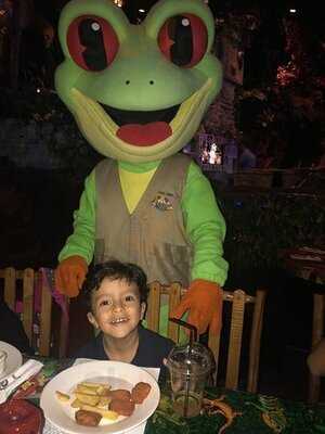 ‪rainforest Cafe‬