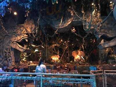 ‪rainforest Cafe‬