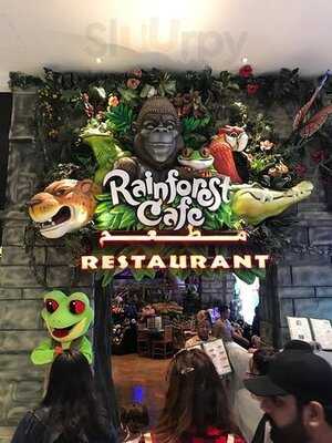 ‪rainforest Cafe‬