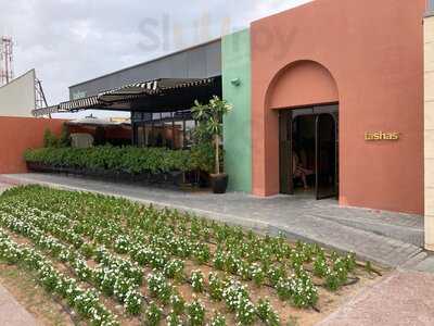 ‪tashas Al Jalila‬