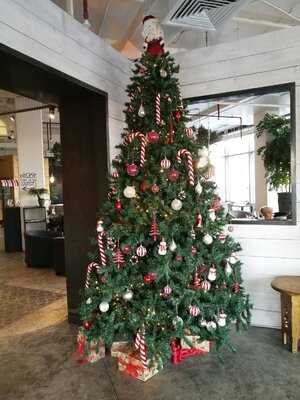 ‪the Lime Tree Cafe & Kitchen Sheikh Zayed Road‬