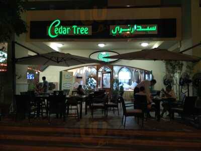 ‪cedar Tree‬