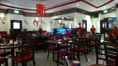 ‪imperial Dragon‬