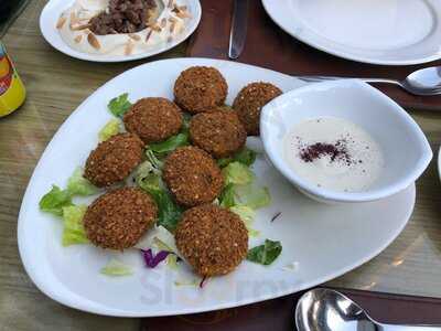 ‪yasmeen Al Sham‬