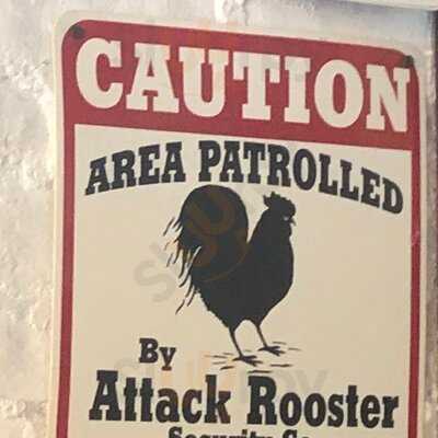 ‪raju Omlet Jlt‬