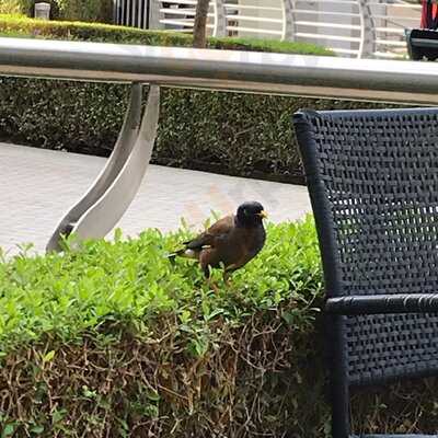 ‪marks & Spencer Food Hall & Café‬