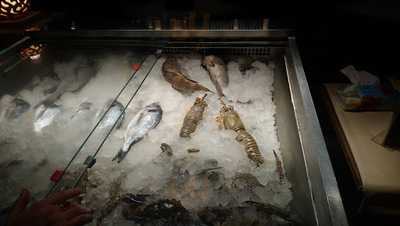 ‪bastakiah Nights‬