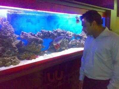 ‪fusion Of Flavours‬