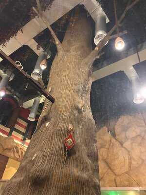 ‪wadi Al Arayesh‬