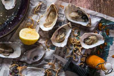 ‪republic & Co.‬