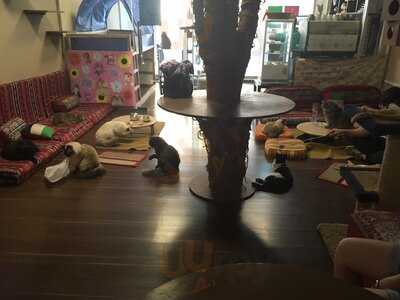 ‪ailuromania Cafe‬