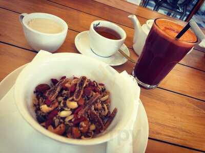 ‪organiclicious‬