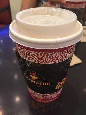 ‪second Cup Cafe‬