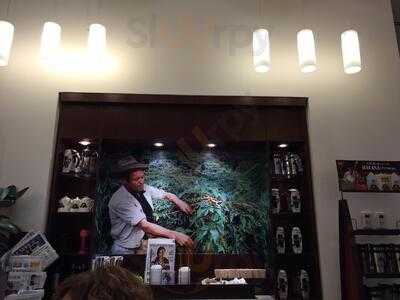 ‪second Cup Cafe‬