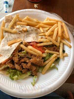 ‪al Riqqa Falcon‬