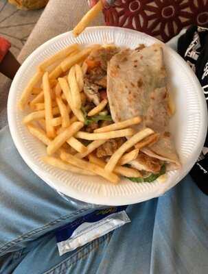 ‪al Riqqa Falcon‬