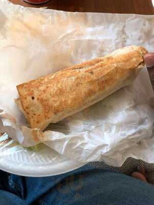 ‪al Riqqa Falcon‬