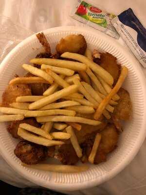 ‪al Riqqa Falcon‬