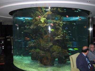 ‪aquarium & Vines Wine Bar‬