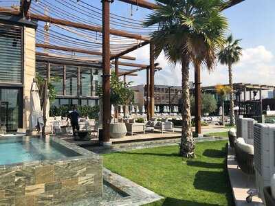 ‪train Beach Club‬