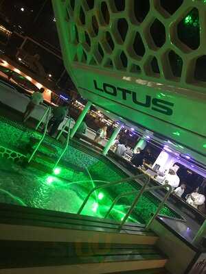 ‪lotus One Lounge Bar & Restaurant‬