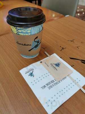 ‪caribou Coffee‬