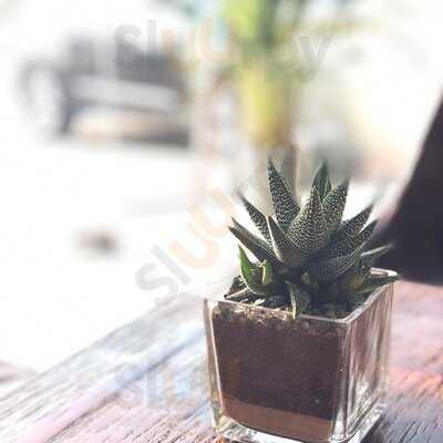 ‪pdl Coffee Co. & Barbershop‬