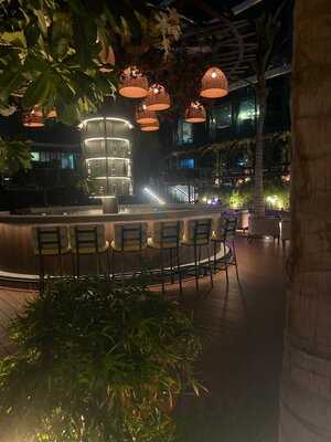 ‪treehouse Dubai‬