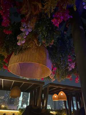 ‪treehouse Dubai‬