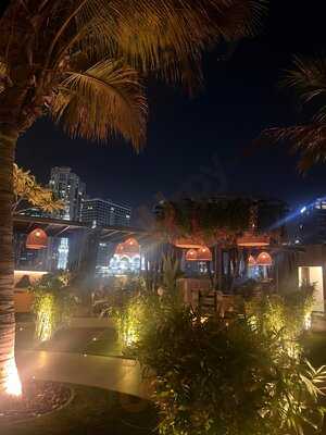 ‪treehouse Dubai‬