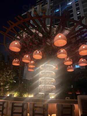 ‪treehouse Dubai‬