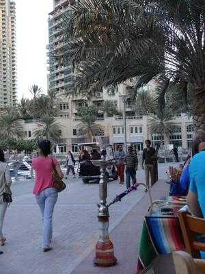 ‪salsa Restaurant‬