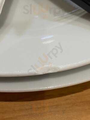 ‪the Pizza Company‬