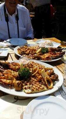 ‪brewsteris Arabian Trails‬