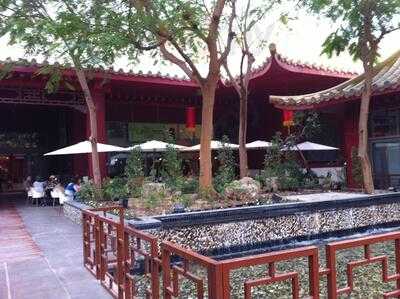 ‪the Lime Tree Cafe‬