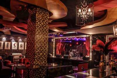 ‪scarlet Cardinal‬