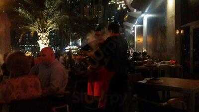 ‪tandoori Delights‬