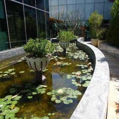 ‪zone Lounge Restaurant‬