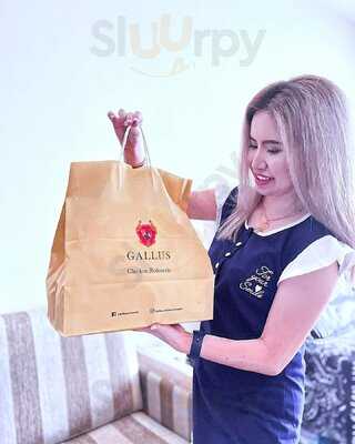 ‪gallus Chicken Rotisserie‬