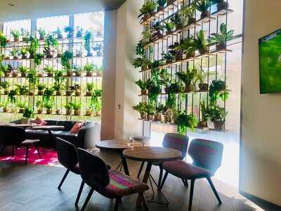 ‪social Company‬