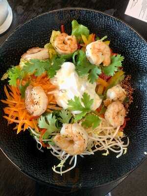 ‪social Company‬