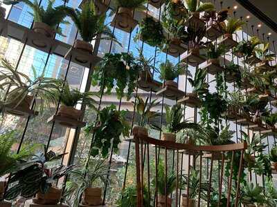 ‪social Company‬