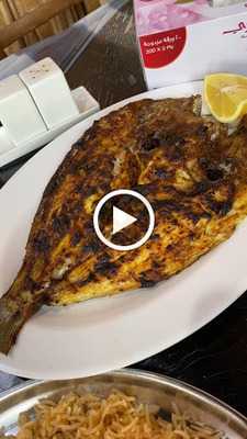 ‪green City Corner Cafeteria‬