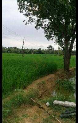 ‪musabbeh Mohd Al Mansoori‬