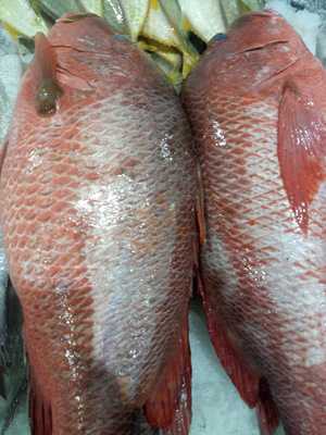 ‪al Embratoor Cook & Restaurant‬