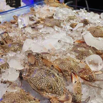 ‪sea World Restaurant‬