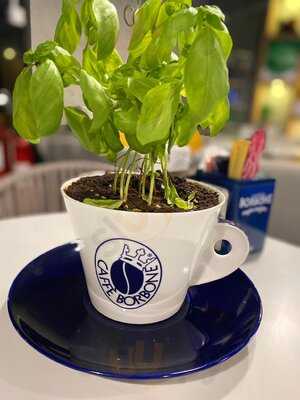 ‪borbone By The Beach‬