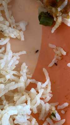 ‪al Reza Restaurant‬