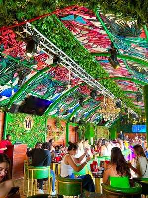 ‪secret Garden By Vii‬