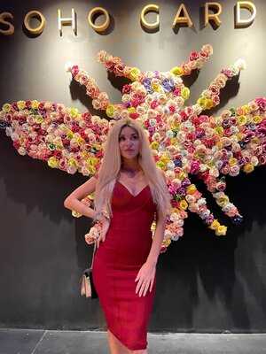 ‪soho Garden‬